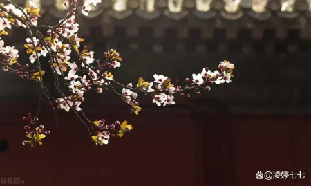摩羯座：敢将十指夸针巧，不把双眉斗画长，高格调，俭梳妆